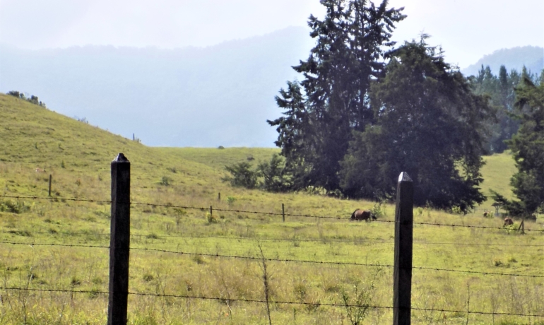 Lote Parcelar El Carmen de Viboral Via Rionegro La Ceja