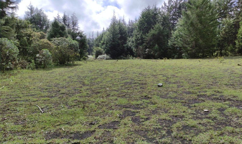 Lote Industrial  RionegroVariante Aeropuerto JMC a Guarne