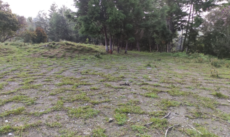 Lote Industrial  RionegroVariante Aeropuerto JMC