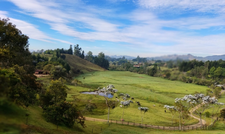 Lote Industrial en Guarne Variante al Aeropuerto JMC
