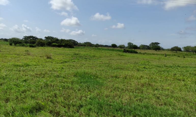 Lotes en Parque Industrial Cartagena de Indias Colombia