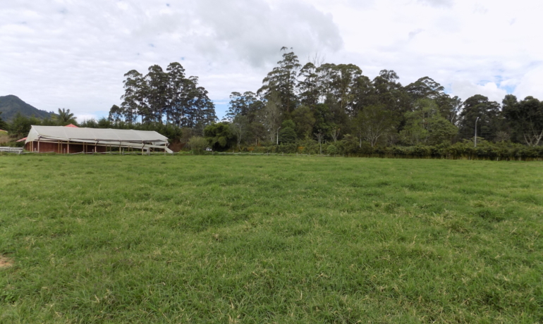 Lote Plano Variante a La Union La Ceja Antioquia Antioquia