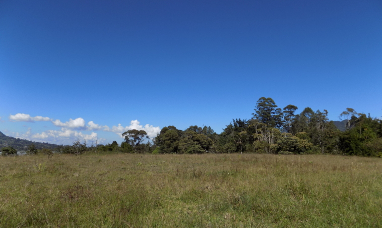 Lote Vereda Las Lomitas La Ceja Antioquia