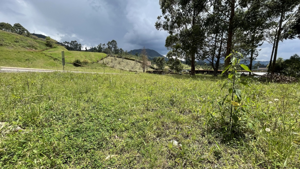 Venta de Lote en Parcelacion Reserva Silvestre sector El Yarumo La Ceja Antioquia
