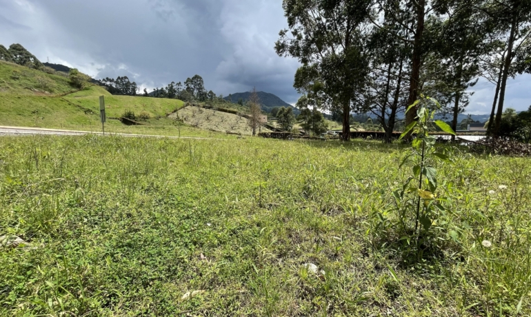 Venta de Lote en Parcelacion Reserva Silvestre sector El Yarumo La Ceja Antioquia